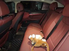 BMW 5 Series 530Li Premier Luxury Package - фото 3