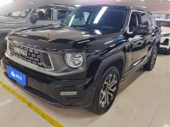 Haval Big Dog PLUS 1.5T Two-Wheel Drive Trendy Wilderness Edition Plus - фото 1