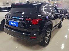 Haval Big Dog PLUS 1.5T Two-Wheel Drive Trendy Wilderness Edition Plus - фото 3