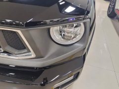 Haval Big Dog PLUS 1.5T Two-Wheel Drive Trendy Wilderness Edition Plus - фото 5