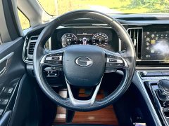 GAC Aion M8 Master Series 390T Luxury Edition - ფოტო 8