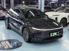 Tesla Model Y L Long Range All-Wheel Drive - photo 2