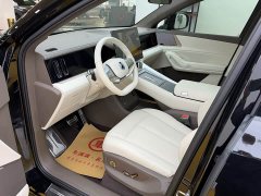Denza N8L Premium Edition - ფოტო 4