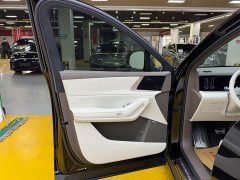 Denza N8L Premium Edition - ფოტო 6