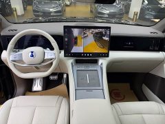 Denza N8L Premium Edition - ფოტო 7