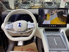 Denza N8L Premium Edition - ფოტო 8