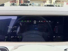 Denza N8L Premium Edition - ფოტო 9