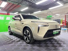 Great Wall WEY Blue Mountain Four-Wheel Drive Extended Range Version - photo 10