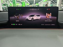 Luxeed Zhiji S7 Max - ფოტო 11