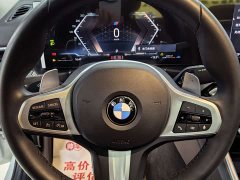BMW 3 Series 320Li M Sport Package - фото 11