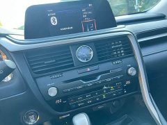 Lexus RX Facelift 300 AWD Elegance - ფოტო 12