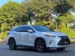 Lexus RX Facelift 300 AWD Elegance - ფოტო 3