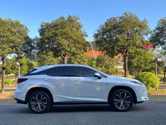 Lexus RX Facelift 300 AWD Elegance - ფოტო 4