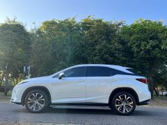Lexus RX Facelift 300 AWD Elegance - ფოტო 8