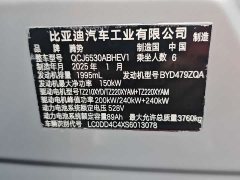 Denza N9 Flagship - ფოტო 7