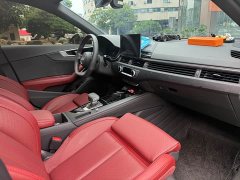 Audi A4L 200 Million Units Joyful Edition 40 TFSI Luxury Dynamic - ფოტო 12