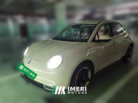 2023 ORA Good Cat 401km Standard Range Deluxe LFP - ავტომობილი ჩინეთიდან