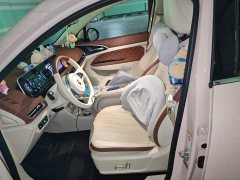 ORA Good Cat 401km Standard Range Deluxe LFP - ფოტო 11
