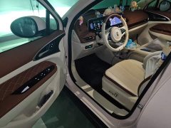 ORA Good Cat 401km Standard Range Deluxe LFP - ფოტო 12