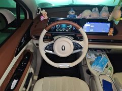 ORA Good Cat 401km Standard Range Deluxe LFP - ფოტო 6