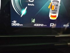 ORA Good Cat 401km Standard Range Deluxe LFP - ფოტო 8