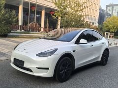 Tesla Model Y Rear-Wheel Drive - ფოტო 1