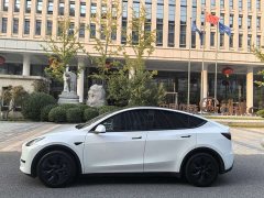 Tesla Model Y Rear-Wheel Drive - ფოტო 2