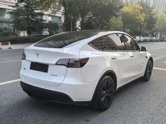 Tesla Model Y Rear-Wheel Drive - ფოტო 5