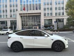 Tesla Model Y Rear-Wheel Drive - ფოტო 6