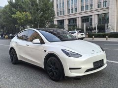 Tesla Model Y Rear-Wheel Drive - ფოტო 7