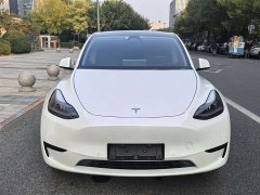 Tesla Model Y Rear-Wheel Drive - ფოტო 8