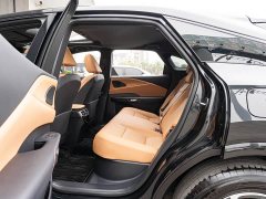 Lexus RX 300 AWD Premium Edition - photo 10