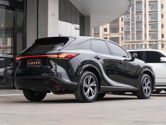 Lexus RX 300 AWD Premium Edition - photo 3