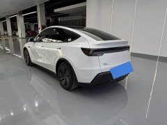 Tesla Model Y Rear-Wheel Drive - фото 14