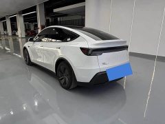 Tesla Model Y Rear-Wheel Drive - фото 15