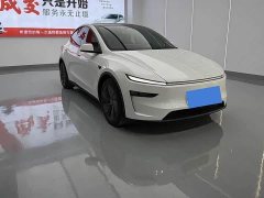 Tesla Model Y Rear-Wheel Drive - фото 2