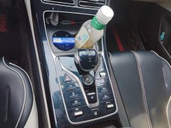 BYD Qin PLUS EV 500KM Luxury - ფოტო 16
