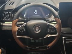 BYD Tang New Energy DM-i 112KM Premium Edition - ფოტო 11