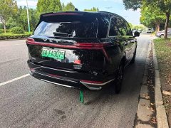 Great Wall WEY Blue Mountain Four-Wheel Drive Extended Range Version - ფოტო 1