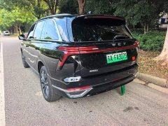 Great Wall WEY Blue Mountain Four-Wheel Drive Extended Range Version - ფოტო 4