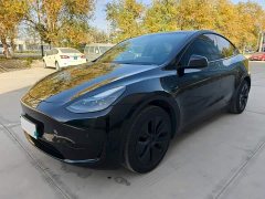 Tesla Model Y Rear-Wheel Drive - фото 1