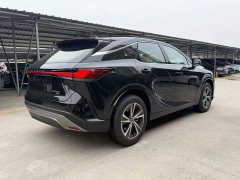 Lexus RX 300 AWD Premium Edition - photo 9