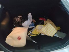 SAIC MG6 1.5T Automatic Trendsetter Elegance Edition - ფოტო 4