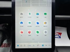 HiPhi X Flagship 6-Seater - фото 20