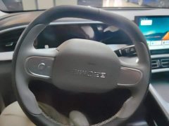 Geely Xing Yuan 310km Youth Edition - ფოტო 15