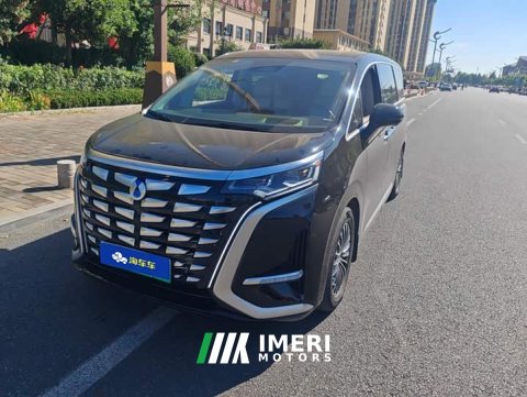 2024 Denza D9 DM-i 980 Four-Wheel Drive Flagship - car from China