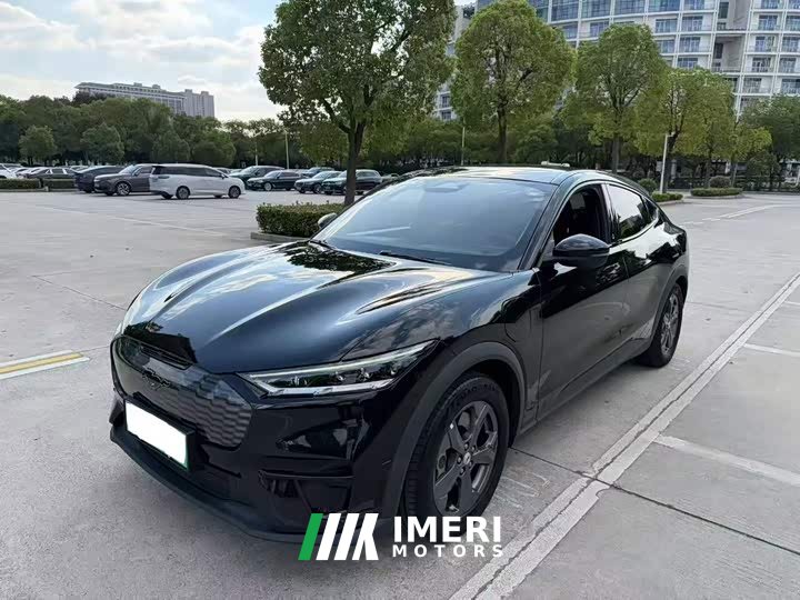 Ford Mustang Mach-E Standard Range RWD - автомобиль из Китая