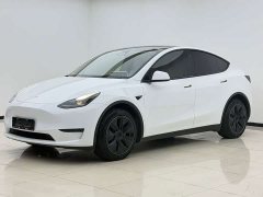 Tesla Model Y Facelift Long Range All-Wheel Drive - фото 1