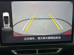 Jetour Jietu Dasheng 1.5T DCT Star Radiance PRO - photo 18