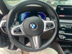 BMW 5 Series 530Li Premier M Sport Package - photo 11
